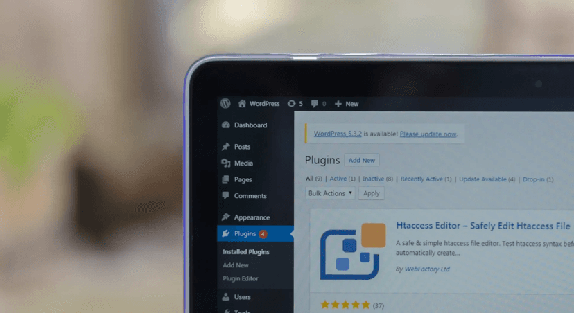 WordPress Server Management